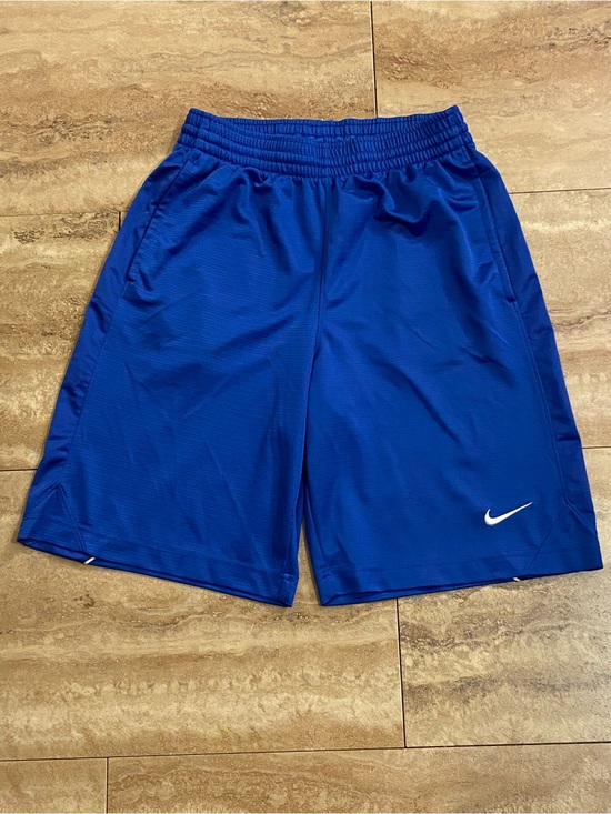 Nike Other - Nike Men's Royal Blue Long Dri-FIT Athletic Shorts Shiny Y2K